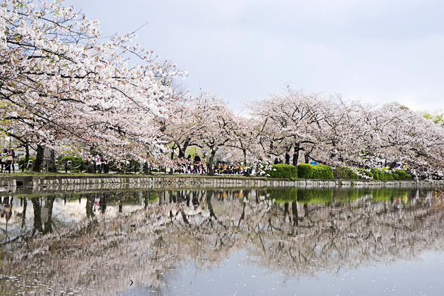 Japan Academy,  Ueno Park